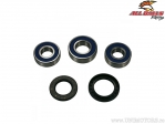 Kit rulmenti si simeringuri roata spate - Cagiva River 500 / Kawasaki ER-6N / VN900 Custom / ZX10R / ZXR400 (Euro) - All Balls