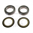 Handlebar Bearing Kit - Kawasaki ER-6n / ER-6f / GTR / KLE650 / KLZ / VN / Z / ZX-10R / ZX-12R / ZX-6R / ZX-9R - (All Balls)