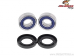 Kit rulmenti si simeringuri roata fata - Honda CB1300 / CB1000R / CB1100 / CB600F / CB900F / CBR600F / CBR600F4 - All Balls