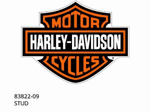 ÉCROU - 83822-09 - Harley-Davidson