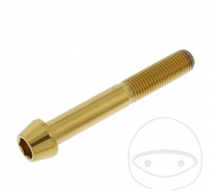 Βίδα καπάκι στρογγυλή κωνική Pro Bolt M10 x 1.25 x 70 mm ανοξείδωτο A4 χρυσό - JM