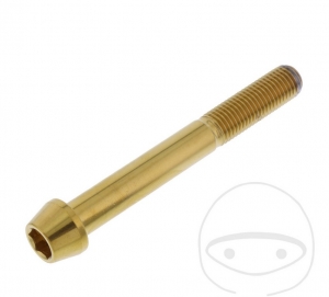 Βίδα με στρογγυλή κωνική κεφαλή Pro Bolt M10 x 1.25 x 80 mm από ανοξείδωτο ατσάλι 