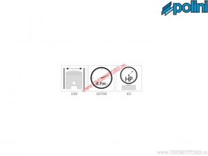 Комплект цилиндър (диаметър 100мм / 490cc) - Полини