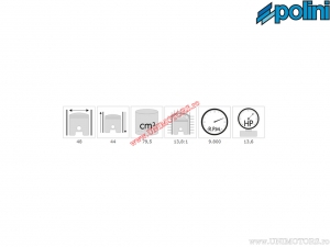 Комплект цилиндър (диаметър 48мм / 79,5cc) - Полини