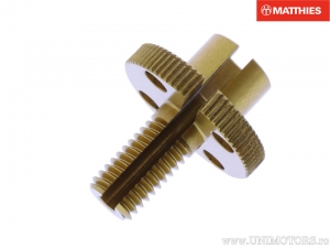 Adjustment screw Pro Bolt M10 gold aluminum - Aprilia RSV4 1000 Factory / Suzuki GS 1000 E Cast Wheel / BMW R 1200 GS Adventure 