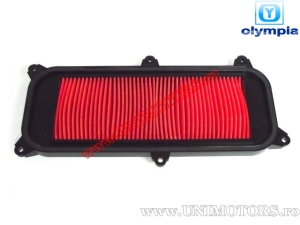 Air filter - Kymco Grand Dink / XCiting / Yager 125cc-250cc 4T - (Olympia)