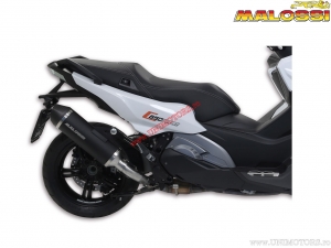 Amortisseur de bruit Maxi Wild Lion (3218321) - homologué - BMW C650 Sport H2O 4T E4 '16-'21 (homologué UE) - Malossi