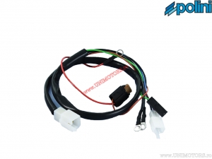 Arnes de cableado de encendido digital - Aprilia Area 51 / Gilera DNA 50 / MBK Active 50 / Yamaha Aerox 50 2T H2O - Polini