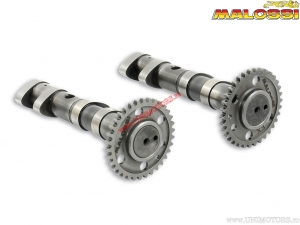 As kwam Power Cam (2 stuks / 5913783) - Yamaha T Max 500 ie 4T LC ('04-'07) / T Max (carburateur) 500 4T LC ('01-'03) - Malossi