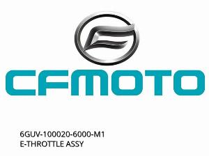 ASAMBLARE E-THROTTLE - 6GUV-100020-6000-M1 - CFMOTO