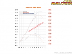 Auspuffanlage RX (3214800) - Honda SH 300i H2O 4T E3 '07-'10 (EU genehmigt) / SH 300i H2O 4T E3 ('11-'14) - Malossi