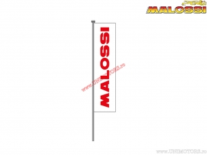 Banner publicitario (70x220cm) - Malossi