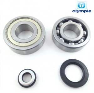 Bearings and seals kit for crankshaft - Yamaha Majesty 4T 250cc - Olympia