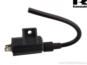 Bobine d'Induction - Kawasaki KFX 700 A KSV ('06-'11) - JM