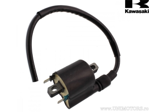 Bobine d'induction - Kawasaki KVF 750 Brute Force ('12-'14) - JM