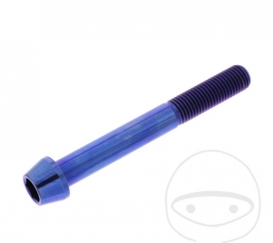 Bout met ronde kegelvormige dop Pro Bolt M10 x 1.25 x 80 mm van roestvrij staal A4 blauw - JM