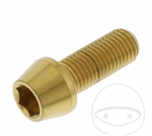 Bout ronde conische kap Pro Bolt M10 x 1.25 x 25 mm roestvrij staal A4 goud - JM