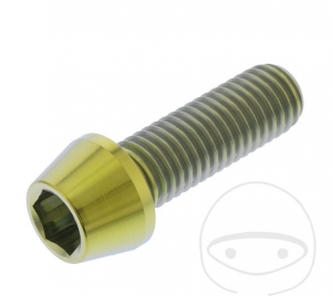 Bout ronde conische kap Pro Bolt M10 x 1.50 x 30 mm roestvrij staal A4 goud - JM