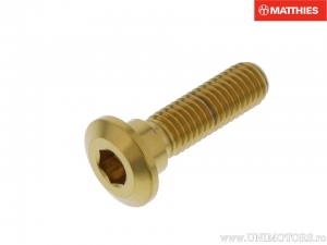 Brake disc screw M8 x 1.25 x 24 mm stainless steel A4 gold - Honda ADV 350 A ABS / AFS 110 2SH and Wave / ANF 125 Innova / VTR 2