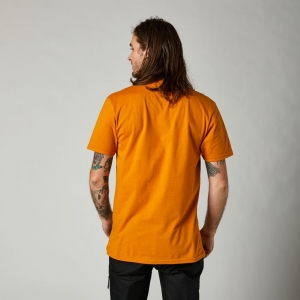 Camiseta casual Pushin Dirt SS Premium [Laranja]: Tamanho - S