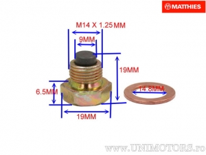 Capac (buson) magnetic oil drain plug M14X1.25 (with washer and gasket) - Cagiva Navigator 1000 Gussrad / Kawasaki KLV 1000 A - 