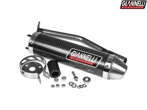 Carbon end cap - Giannelli Enduro 2-stroke - Beta RR 50 Enduro ('05-'11)