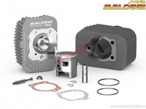 Cast iron cylinder kit (diameter 46,5mm / 3118735) - Italjet Pack 50 2T / Piaggio Ciao 50 2T / Ciao PX 50 2T - Malossi