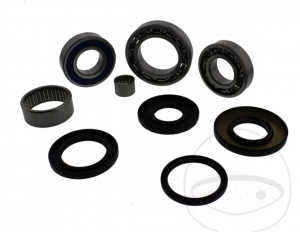 Complete Differential Repair Kit - Suzuki LT-F 250 Ozark / Suzuki LT-Z 250 Quadsport - All Balls