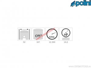 Conjunto de cilindro (diámetro 52mm / 107cc) - 119.0093 - Polini