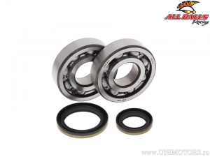 Conjunto de rolamentos e retentores de virabrequim - Suzuki RM250 - All Balls