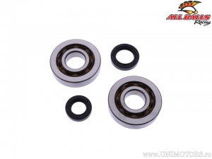 Conjunto de rolamentos e retentores do virabrequim - Suzuki RM250 - All Balls