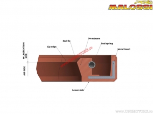 Conjunto de sellos de aceite FKM/PTFE (6618072) - Vespa ETS 125 2T / PK XL 125 2T - Malossi