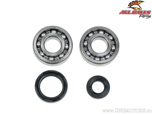 Crankshaft bearing and oil seals kit - Yamaha YZ250 2T - All Balls