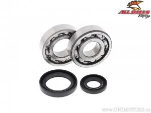 Crankshaft Bearing and Seal Kit - Suzuki RM250 ('86-'88) - All Balls