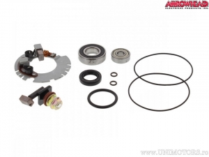 Electric motor repair kit - Triumph Adventurer 900 / Daytona 1000 / Daytona 750 / Speed Triple 955 / Tiger 900 - Arrowhead