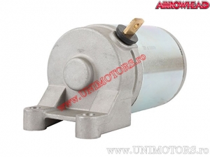 Elektromotor - Aprilia Leonardo 125 / Scarabeo 125 / Leonardo 150 / Scarabeo 150 / Bombardier Rally 175 - Arrowhead