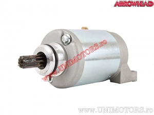 Elektromotor - Aprilia Leonardo 125 / Scarabeo 125 / Leonardo 150 / Scarabeo 150 / Bombardier Rally 175 - Arrowhead