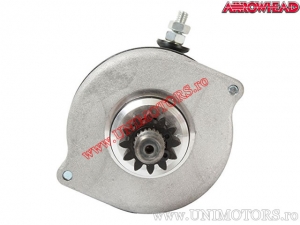 Elektromotor - Aprilia Pegaso 650 Strada / Pegaso 650 Factory / Yamaha MT-03 / XT600 / XT 660X / XT 660R / YFM 660R - Arrowhead