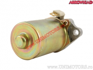 Elektromotor - Aprilia SR 50 R / Derbi GP1 / Gilera DNA / Runner 50 / Peugeot Speedfight / Piaggio NRG / Fly / Vespa - Arrowhead