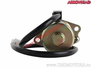 Elektromotor - Suzuki LT-Z50 Quadsport / AY 50 Katana / Aprilia Habana 50 / Scarabeo DiTech 50 / Italjet Formula - Arrowhead