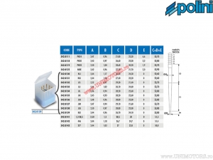 Ensemble carburateur PWK ace (10 pièces) - Polini