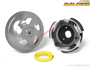 Ensemble Embrayage Maxi Delta (diamètre 135mm / 5217911) - Honda Forza 125i H2O 4T E3 ('15-'16) - Malossi