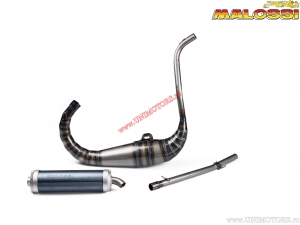 Exhaust system GP MHR Team - Aprilia RS 50 2T LC euro 2 '06-> (Derbi D50B1) / Derbi GPR Racing 50 2T LC '06-> (D50B0) - Malossi