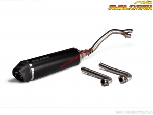 Exhaust System Maxi Wild Lion (3217721) - Yamaha T-Max 500i H2O 4T E3 '08-'11 (EU approved) - Malossi