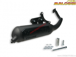 Exhaust system Wild Lion (3216582) - homologated - Aprilia Scarabeo Classic 50 AIR 2T E4 '18-'20 (Piaggio) - Malossi