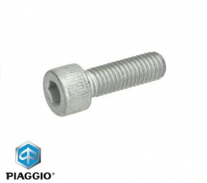 Front caliper fixing screw M10 mm - Gilera Nexus / Piaggio X7 / X8 / X9 Amalfi / X9 Evo / X Evo 125-150-200-250-400cc - Piaggio