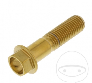 Hexagonal Cap Screw Pro Bolt M10 x 1.25 x 40 mm Stainless Steel A4 Gold - JM