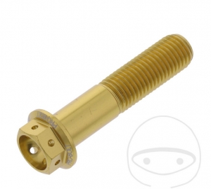 Hexagonal Cap Screw Pro Bolt M10 x 1.25 x 45 mm Aluminum Racing Gold - JM