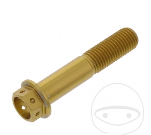 Hexagonal Cap Screw Pro Bolt M10 x 1.25 x 50 mm Aluminum Racing Gold - JM