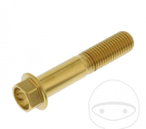 Hexagonal Cap Screw Pro Bolt M10 x 1.25 x 50 mm Stainless Steel A4 Gold - JM